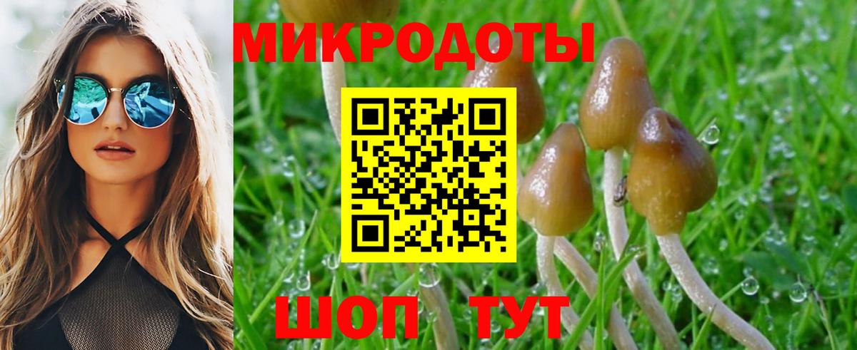Псилоцибиновые грибы MAGIC MUSHROOMS Шумерля
