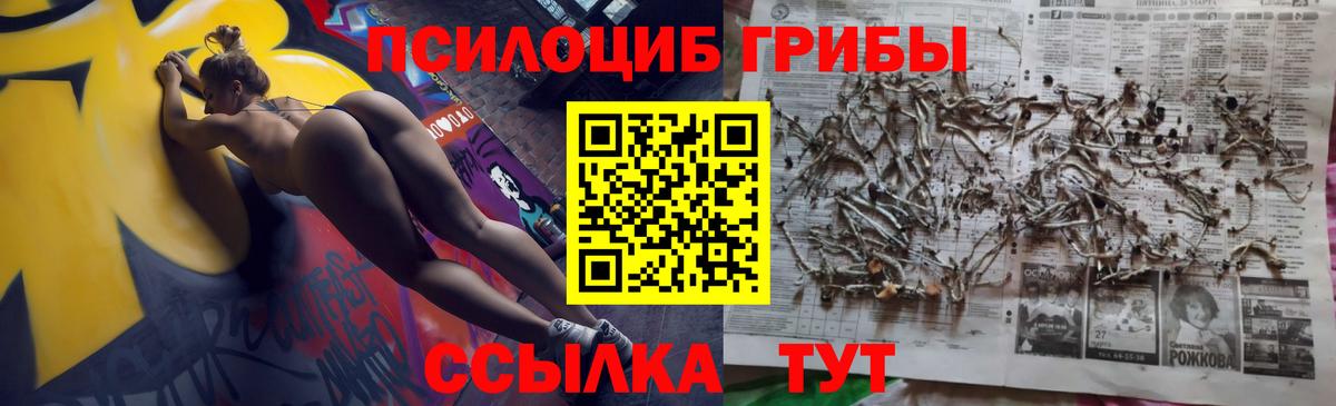 Шумерля  Галлюциногенные грибы Cubensis  купить  цена  Вход с VPN 